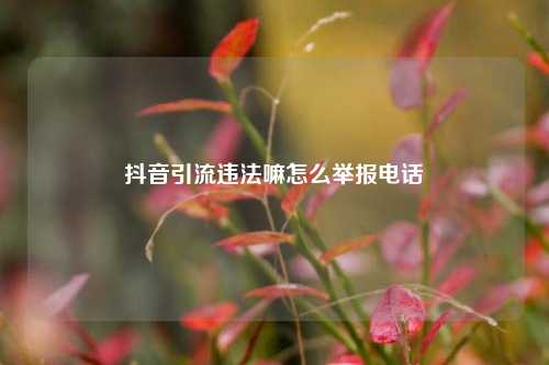 抖音引流违法嘛怎么举报电话