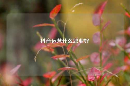 抖音运营什么职业好