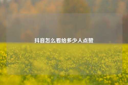 抖音怎么看给多少人点赞