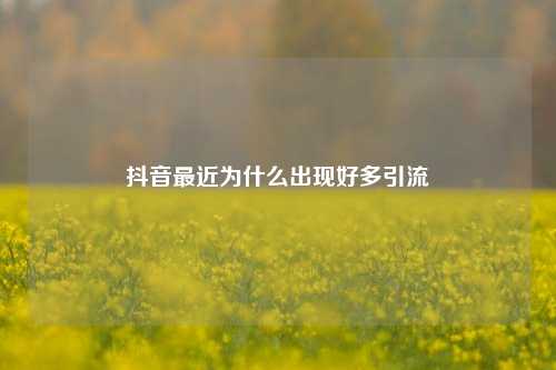 抖音最近为什么出现好多引流