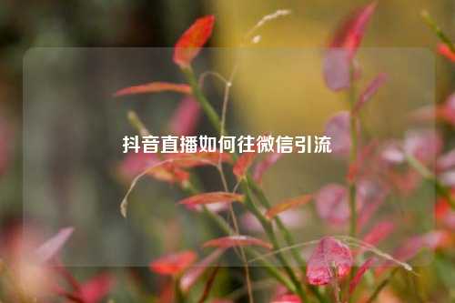 抖音直播如何往微信引流