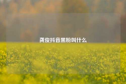 龚俊抖音黑粉叫什么