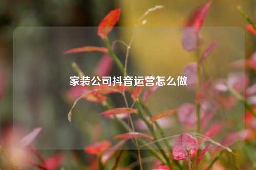 家装公司抖音运营怎么做