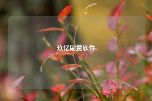 玖忆刷赞软件