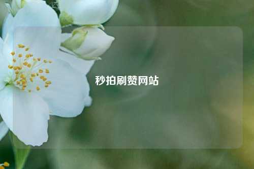 秒拍刷赞网站