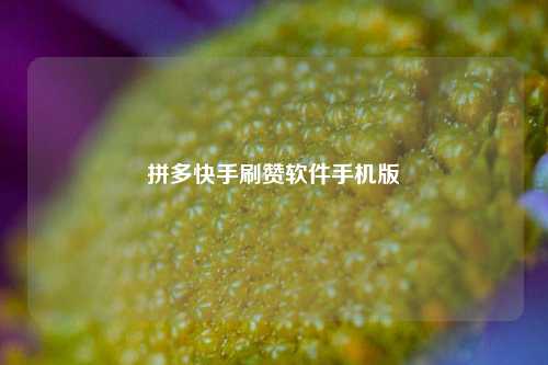拼多快手刷赞软件手机版
