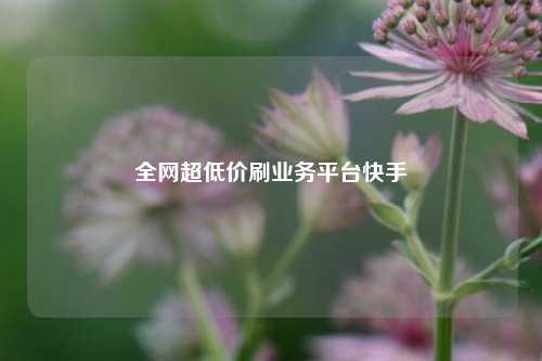 全网超低价刷业务平台快手