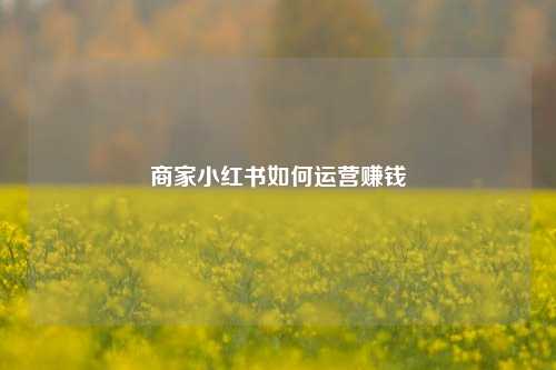 商家小红书如何运营赚钱