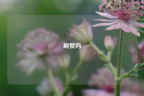 刷赞吗