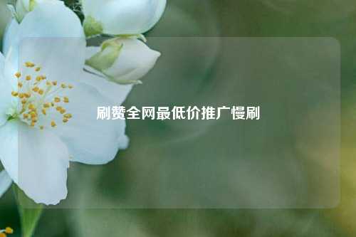 刷赞全网最低价推广慢刷