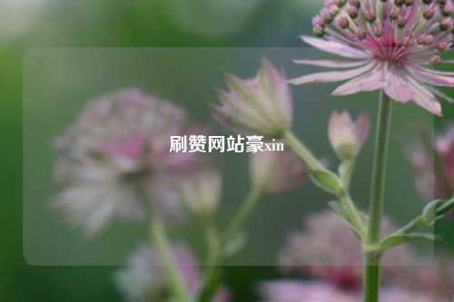 刷赞网站豪xin