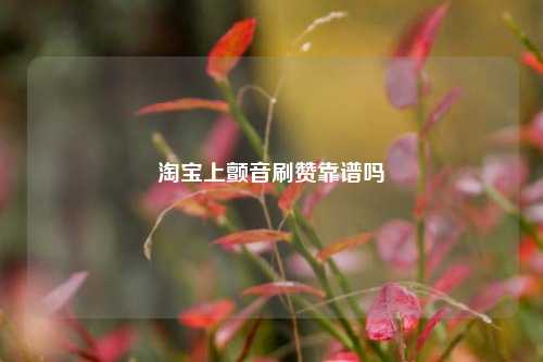 淘宝上颤音刷赞靠谱吗